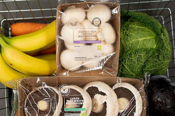 Sainsbury’s Launches Peat-Free Mushrooms