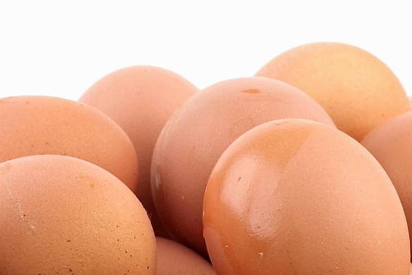 Slovenian Retailers To Discontinue Eggs From Caged Chickens