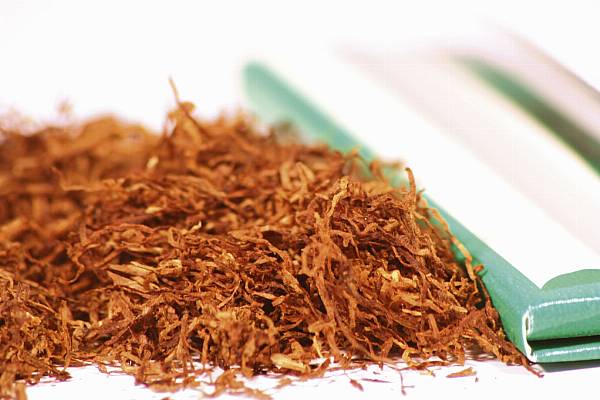 Tobacco Has New Role To Play In Lab-Grown Meat, Biotech Startup Says