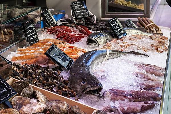 Seafood Expo Global Kicks Off In Brussels