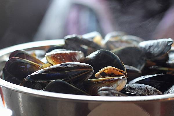 Lidl Mussels Advert Wins Marine Stewardship Council Award