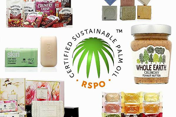 RSPO Endorses New Palm Oil Certification Standard