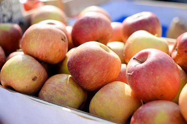 China Launches Apple Futures Trading