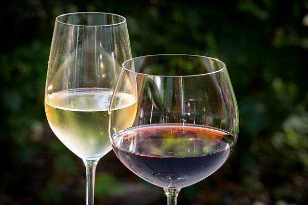 New Zealand Sees 10% Rise In Wine Exports