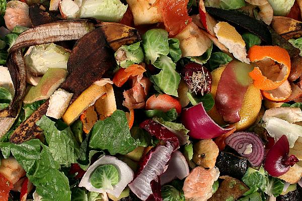 New Global Strategy To Tackle Food Waste Launched