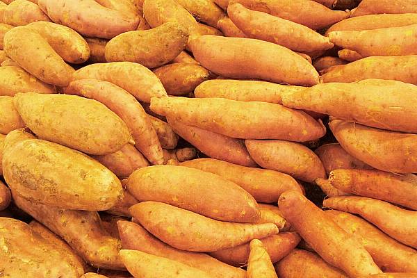 Waitrose Begins Selling Jersey Sweet Potatoes