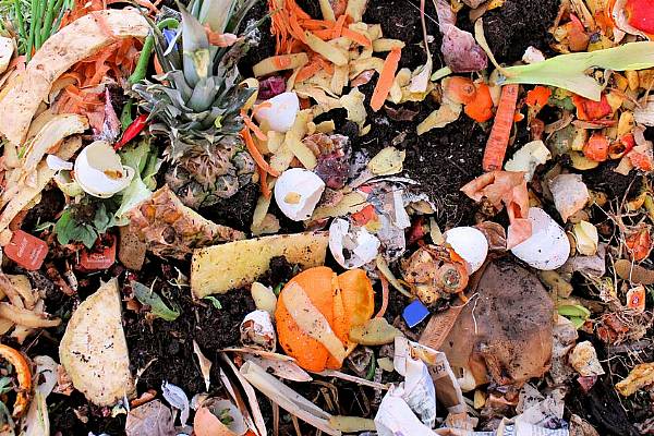 Total Global Food Waste Valued At $700 Billion Per Annum, Study Finds