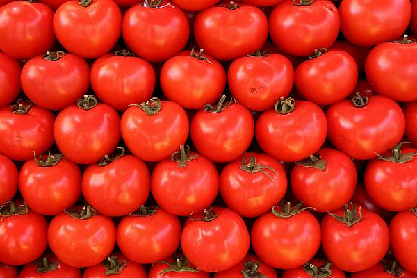 Italy Confirmed As Second-Biggest Tomato Producer