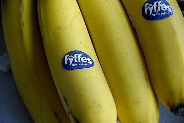 Unions Accuse Fyffes Of Sacking Trade Union Members In Honduras