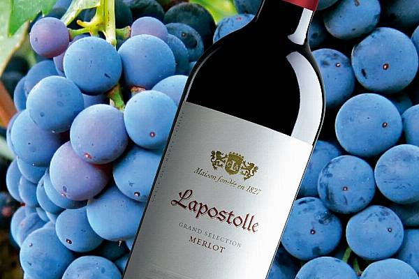 Campari Group Sells Lapostolle For €30 Million