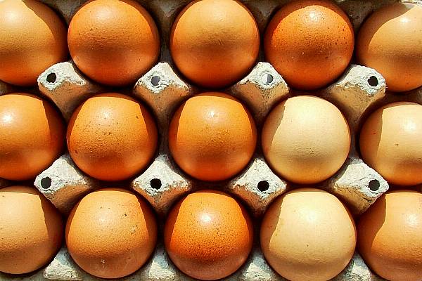 Egg-Chucking Korean Farmers Demand End To Deal With US