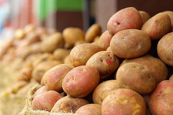 Potato Diplomacy As Malta Seeks New Era Of Namibian Relations