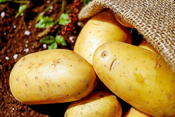 Germany Leads Potato Production In The EU In 2020: Eurostat