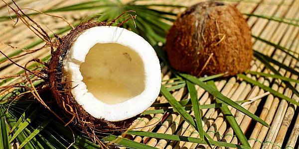 Coconut Beauty Products Worth Over £12 Million A Year In UK