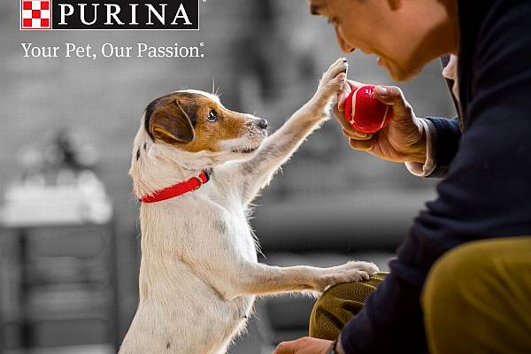 Nestlé Purina Promotes Working With Pets