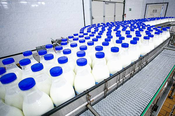 Huishan Dairy, Targeted by Muddy Waters, Sinks 85% In Hong Kong