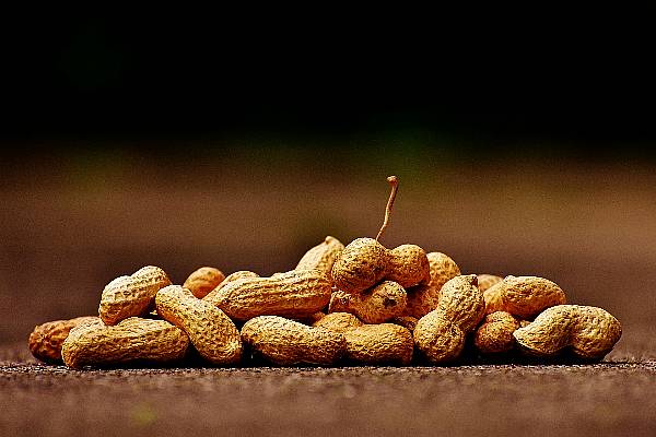 Nestlé Acquires Peanut Allergy Treatment Maker, Aimmune Therapeutics