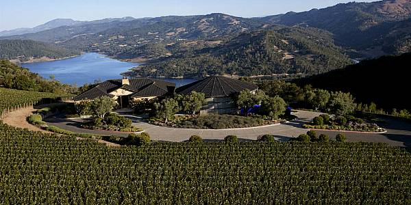 LVMH Group Buys Majority Stake In Napa Winery