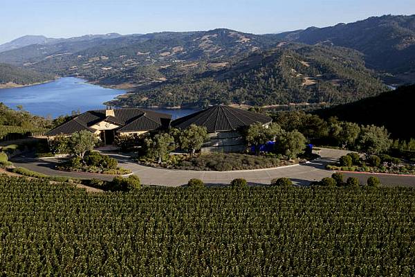 LVMH Group Buys Majority Stake In Napa Winery