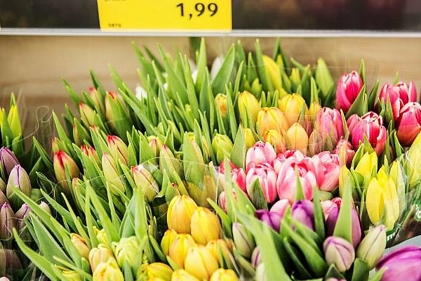 Aldi Süd, Aldi Nord Commit To Sustainable Flora