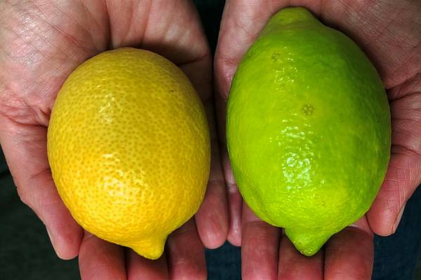 Tesco To Sell 'Green' Lemons To Tackle Food Waste In UK