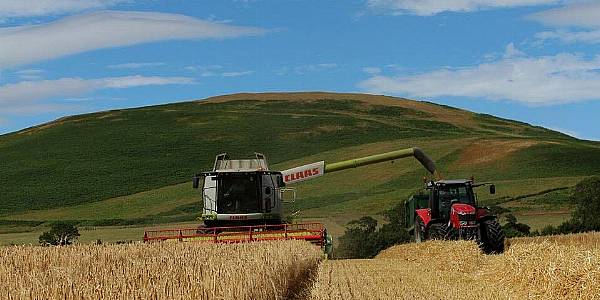 Investors Warn EU Against Badging Intensive Farming As Sustainable