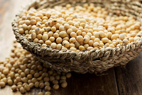 EU Hails US Soya Bean Imports Ahead Of Renewed Trade Talks