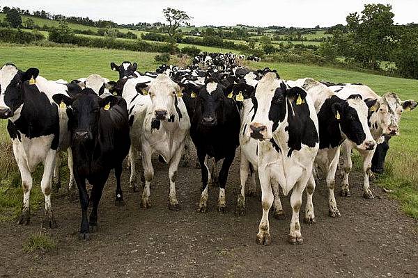 EU Agrees No-Deal Brexit Compensation For Irish Farmers: Report