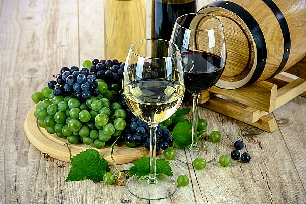 Organic Food Iberia To Showcase Hundreds Of Sustainable Spanish Wines