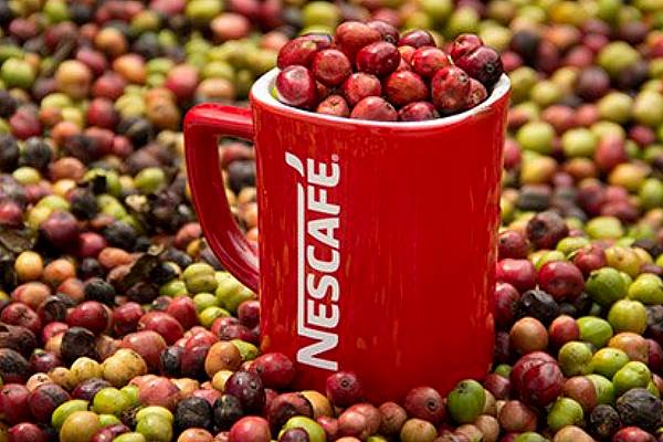 Nestlé To Launch New Coffee Processing Plant In Mexico