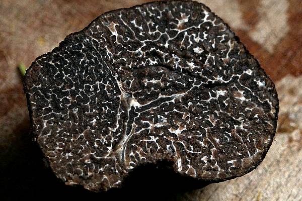 Climate Change Could Spell Trouble For Truffles, Expert Warns