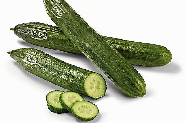 Netto Marken-Discount Turns To Natural Branding For Cucumbers