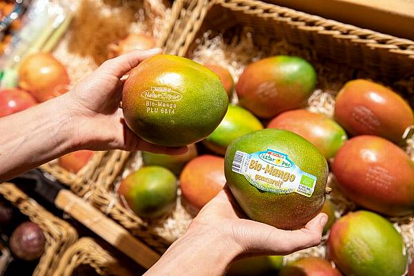 Spar Austria Introduces Laser Labelling For Organic Mangoes