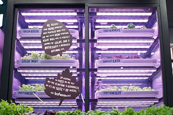 Marks & Spencer Introduces Store-Grown Herbs In London Outlet