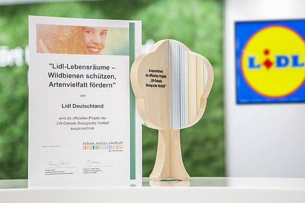 'Lidl Lebensräume' Bee Preservation Project Earns UN Recognition