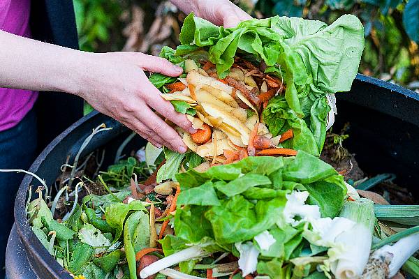 Food Waste In The EU Amounted To 127 Kilograms Per Person In 2020