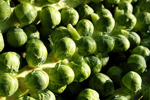 Waitrose Relaxes Size And Shape Guidelines For Brussels Sprouts