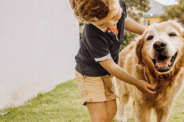 Nestlé To Step Up Pet Food Production In The US And Australia