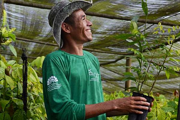 Nestlé's Mucilon To Support Reforestation In Brazil