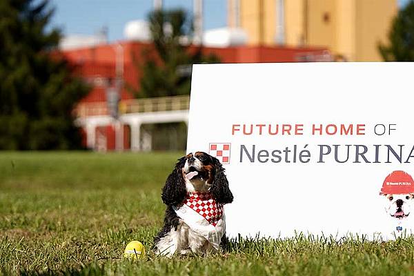 Nestlé Purina Announces $450m Investment In New US Pet Food Plant