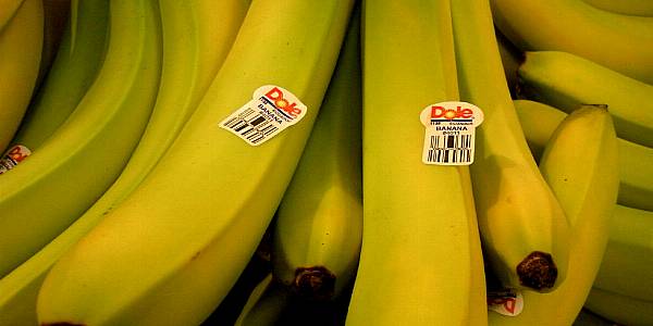 Dole To Sell Progressive Produce To Arable Capital