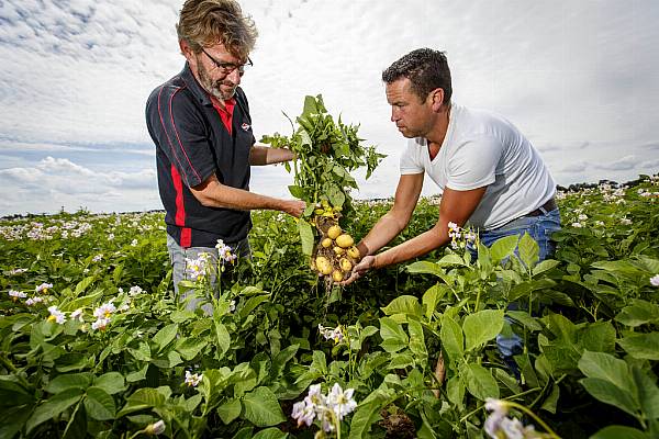 Albert Heijn To Offer More Dutch-Produced SKUs