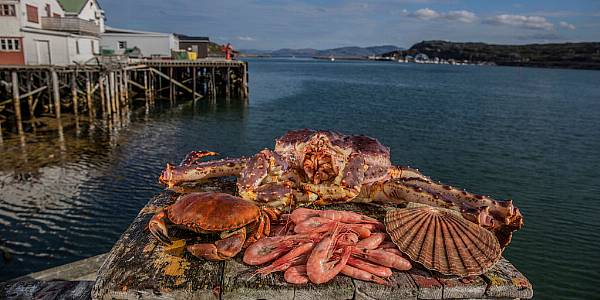 Shellfish Exports Reach 'Record High' In Norway