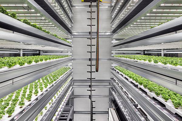 Infarm Sets Up Third Growing Centre In The US