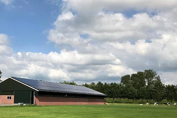 FrieslandCampina Launches Solar Panel Project For Smaller Roofs