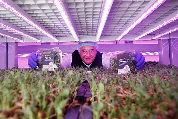 SuperValu Launches Hydroponically Grown Microgreen Mixes