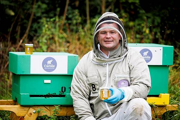 Camile Thai Kitchen Joins Fight To Save Ireland's Only Native Honeybee