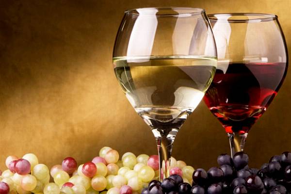 Wine Tourism in South Africa May Double by 2025