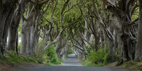 Co. Antrim's Hedges Hotel Taken Over By A Receiver