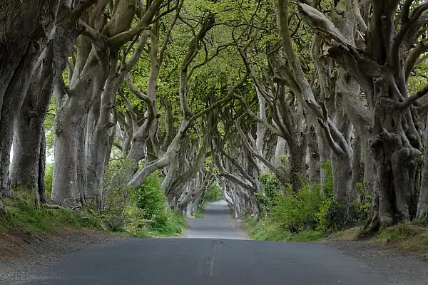 Co. Antrim's Hedges Hotel Taken Over By A Receiver